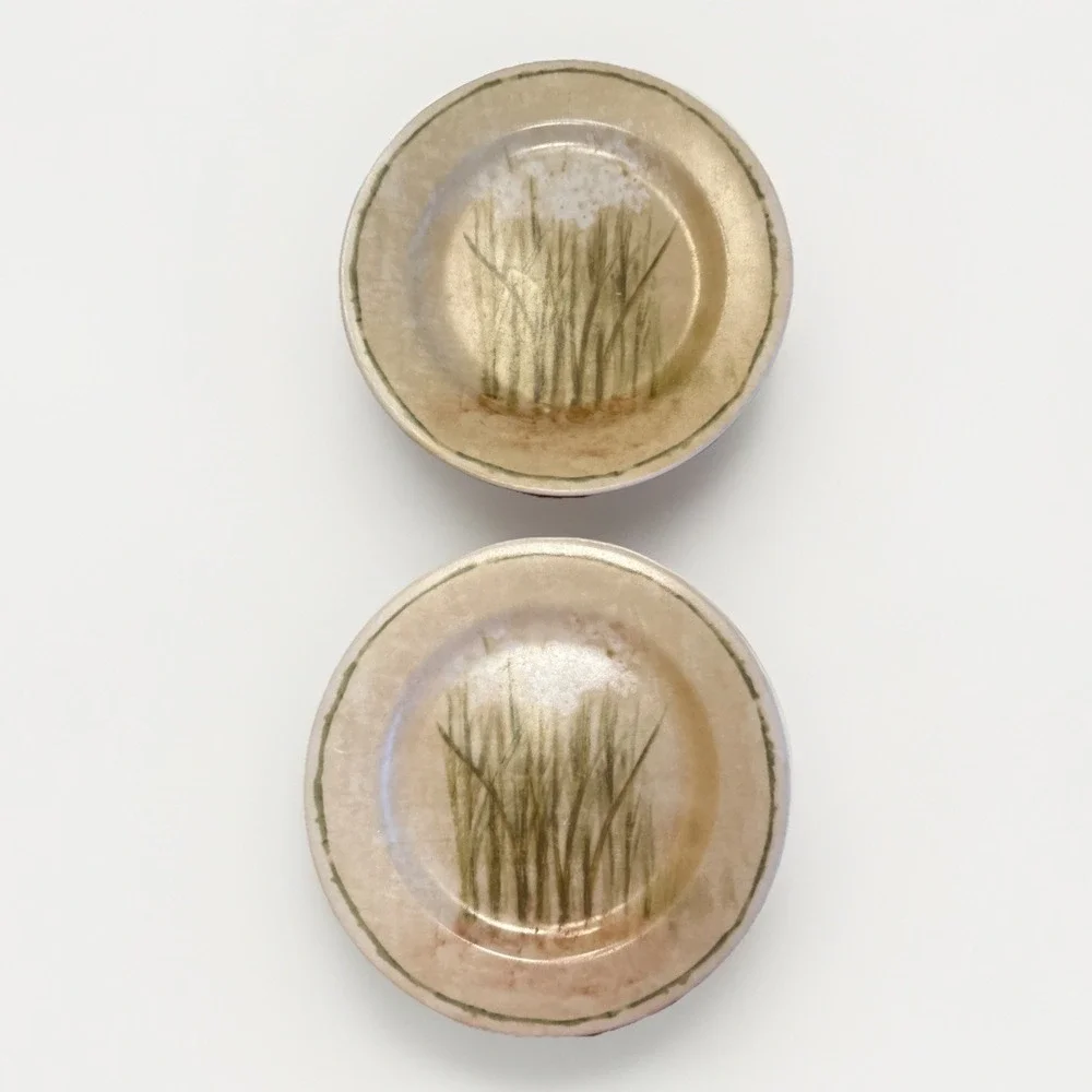 Cheri Blum 222 Fifth Narcissus Set Of 2 Salad Dessert Plates Floral‎ Design